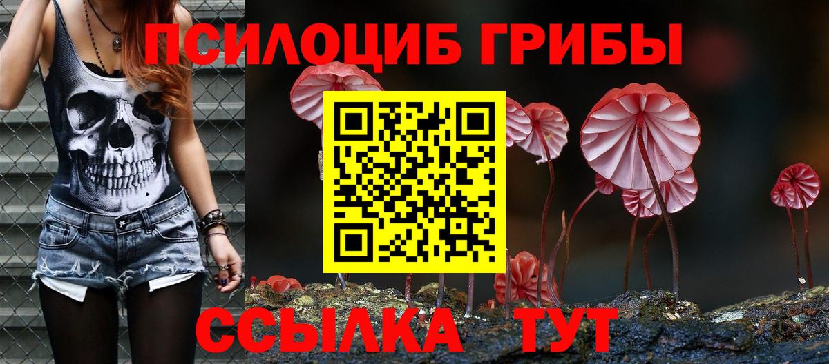 Меф Кисловодск
